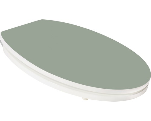 Toiletdeksel van kunststof
