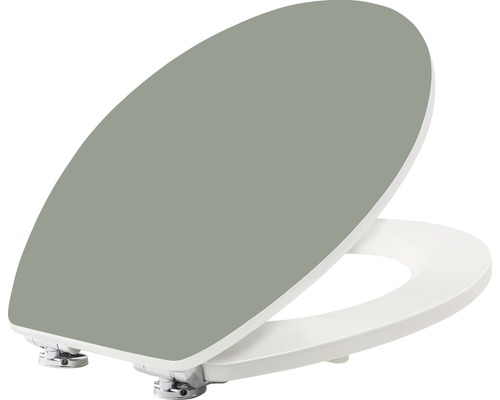 Toiletzitting van kunststof met softclosemechanisme