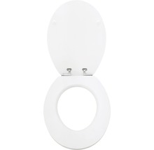 Kunststof toiletbril met deksel, geopend