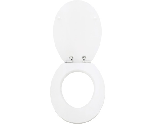 Kunststof toiletbril met deksel, geopend