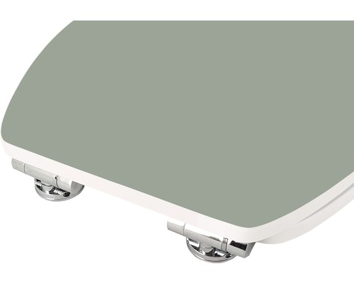 Toiletzitting met softclose systeem