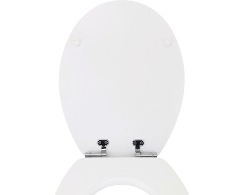 Toiletdeksel met roestvrijstalen scharnieren