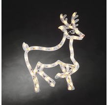 Verlicht rendier als decoratie voor de kerstperiode