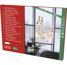 Raamdecoratie rendier met ledverlichting in productverpakking