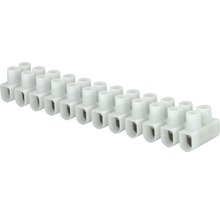 Lusterklemmenblok voor elektrische verbinding van leidingen