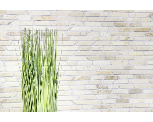 Decoratieve groene halmen voor een stenen muur