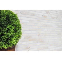 Wanddecoratie met stenen decor en plant