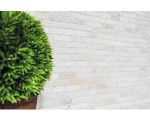 Wanddecoratie met stenen decor en plant