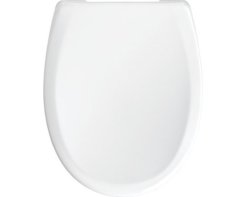 Toiletdeksel van sanitair keramiek