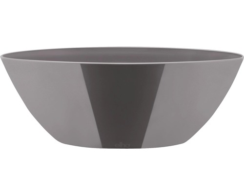 Grijze plantenschaal voor binnen