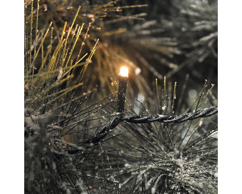 Kerstverlichting met warm wit licht in de kerstboom