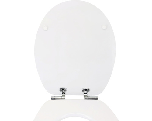 Toiletdeksel met scharnieren