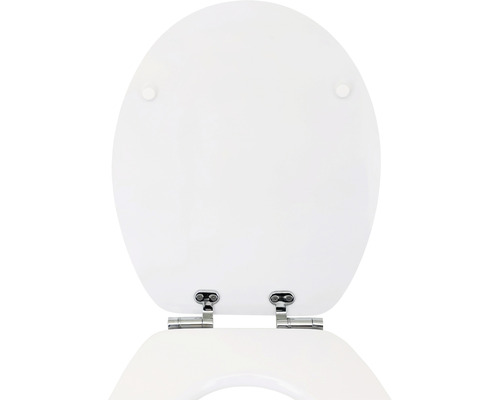 Toiletdeksel van kunststof met metalen scharnieren