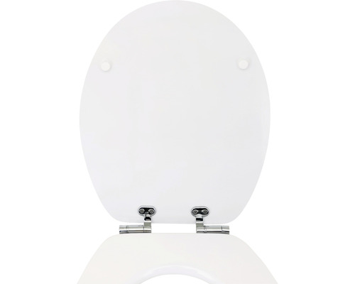Toiletdeksel van kunststof met chromen scharnieren