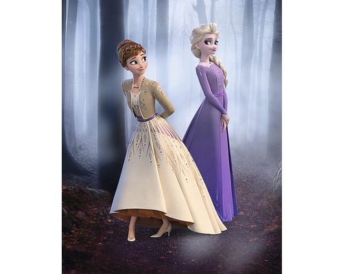 KOMAR Poster Frozen Wood Walk 40x50 cm