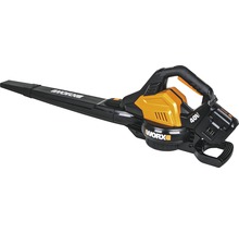 WORX accu bladblazer met 40 volt