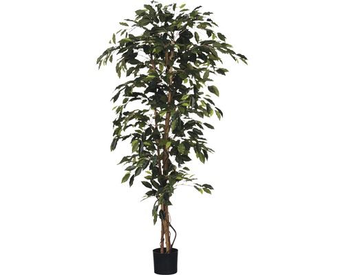 Kunstplant Ficus benjamina, hoogte 180