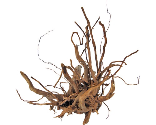 ORBIT Aquariumdecoratie Vinger wortel hout small 25 cm ORBIT Aquariumdecoratie Vinger wortel hout small 25 cm