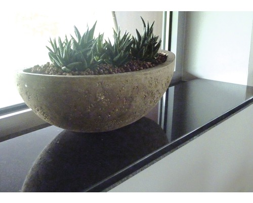 Schaal met vetplanten op een vensterbank