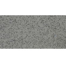 Wand- en vloertegel Kwartssteen grijs gepolijst 30x60 cm gerectificeerd-thumb-0