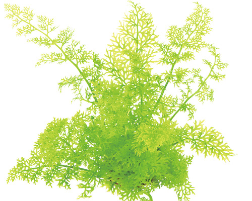 Kunstplant voor aquaria