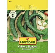FloraSelf Chinese Slangen komkommerzaden verpakking