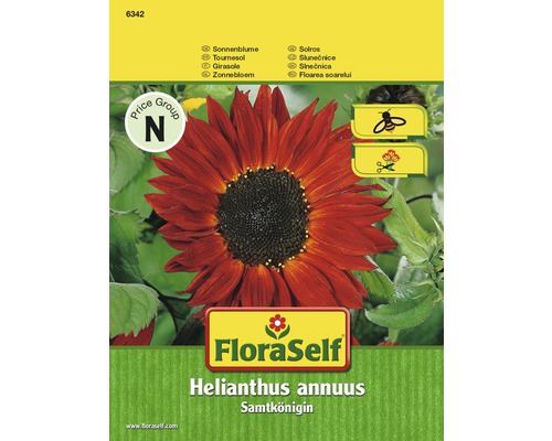 FLORASELF® Zonnebloemen Velvet Queen Helianthus annuus bloemenzaden