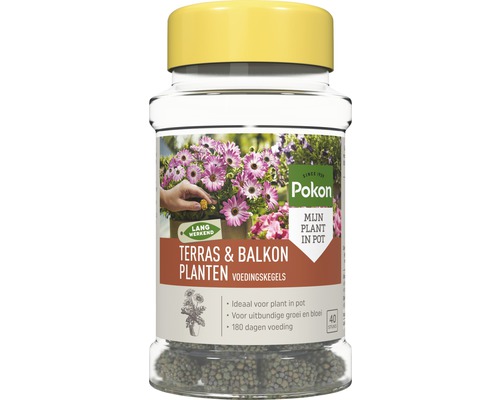 POKON Terras & Balkon Planten Voedingskegels 40 st