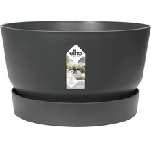 Donkere ronde bloempot met schotel