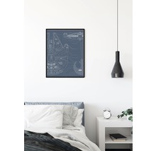 KOMAR Poster Star Wars Blueprint Falcon 40x50 cm