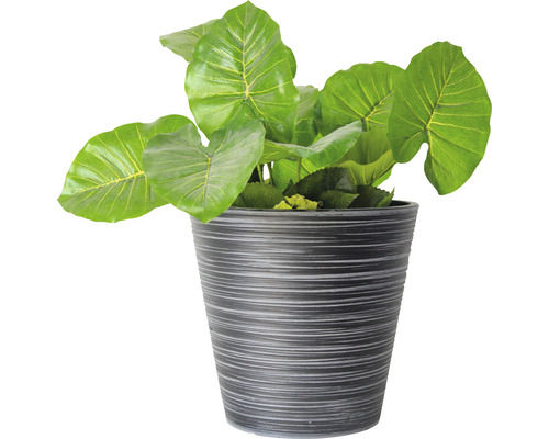 Kunstmatige Alocasia in een decoratieve pot