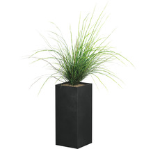 Siergras in een hoge, rechthoekige plantenbak