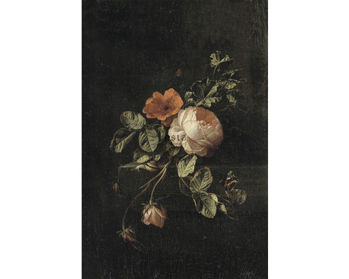 ESTAHOME Fotobehang vlies 158884 Blush bloemstilleven 186x279 cm