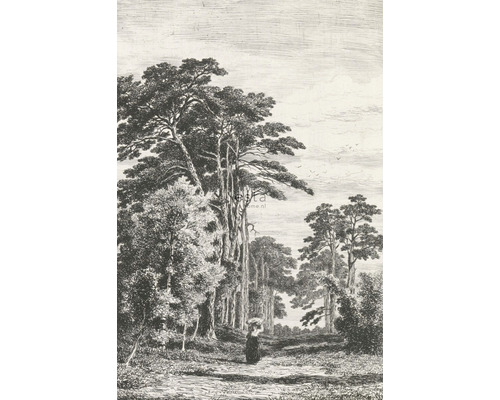 ESTAHOME Fotobehang vlies 158886 Blush bosrijk landschap zwart/wit 186x279 cm