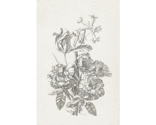 ESTAHOME Fotobehang vlies 158887 Blush bloemstilleven grijs 186x279 cm