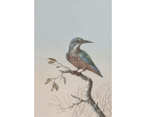 ESTAHOME Fotobehang vlies 158888 Blush ijsvogel op tak rood 186x279 cm