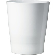 Witte keramische bloempot