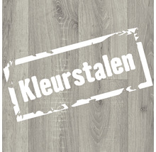 Kleurstalen op houten vloer Kleurstalen op houten vloer