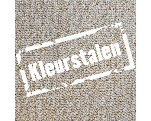 Tapijtstalen voor kleurkeuze