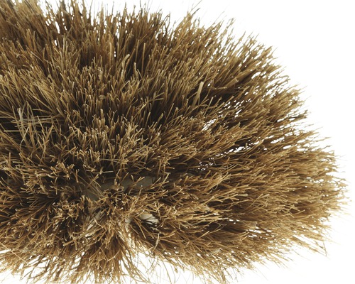 Detail van een borstel met natuurlijke borstelharen