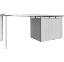Metalen carport met berging en deur