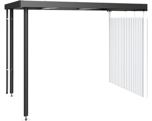 BIOHORT Dakaanbouw HighLine H2 staal antraciet-metallic 282x195x222 cm