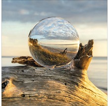 Decoratieve bol op drijfhout met strandlandschap