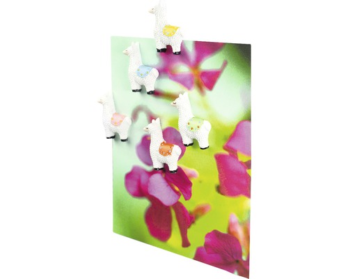 Decoratieve magneten in de vorm van een lama op een kaart met bloemmotief