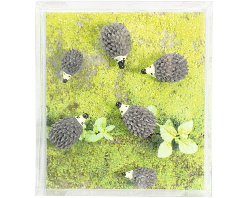 Decoratie met egelmotieven in een transparante doos