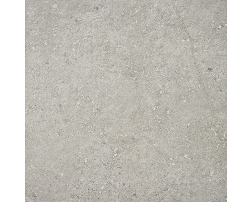 Grijze keramische tegel met gespikkelde oppervlakte voor binnenshuis