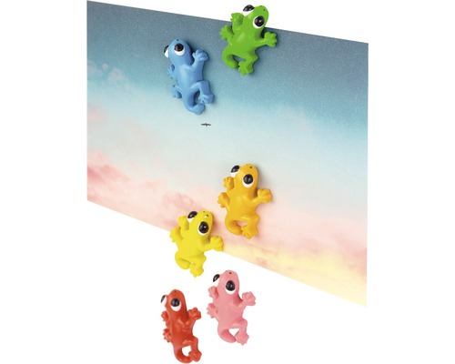 Veelkleurige kikker magneten als decoratie voor memoborden