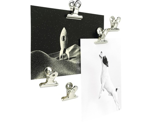 Verschillende klemmen bevestigen foto''s aan een oppervlak