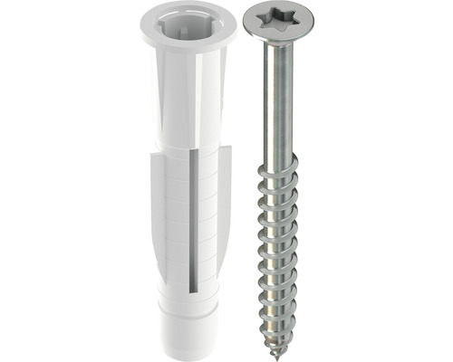 Kunststof plug en schroef met torx-aandrijving