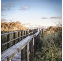 Houten loopbrug door duinlandschap